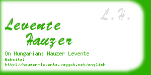 levente hauzer business card